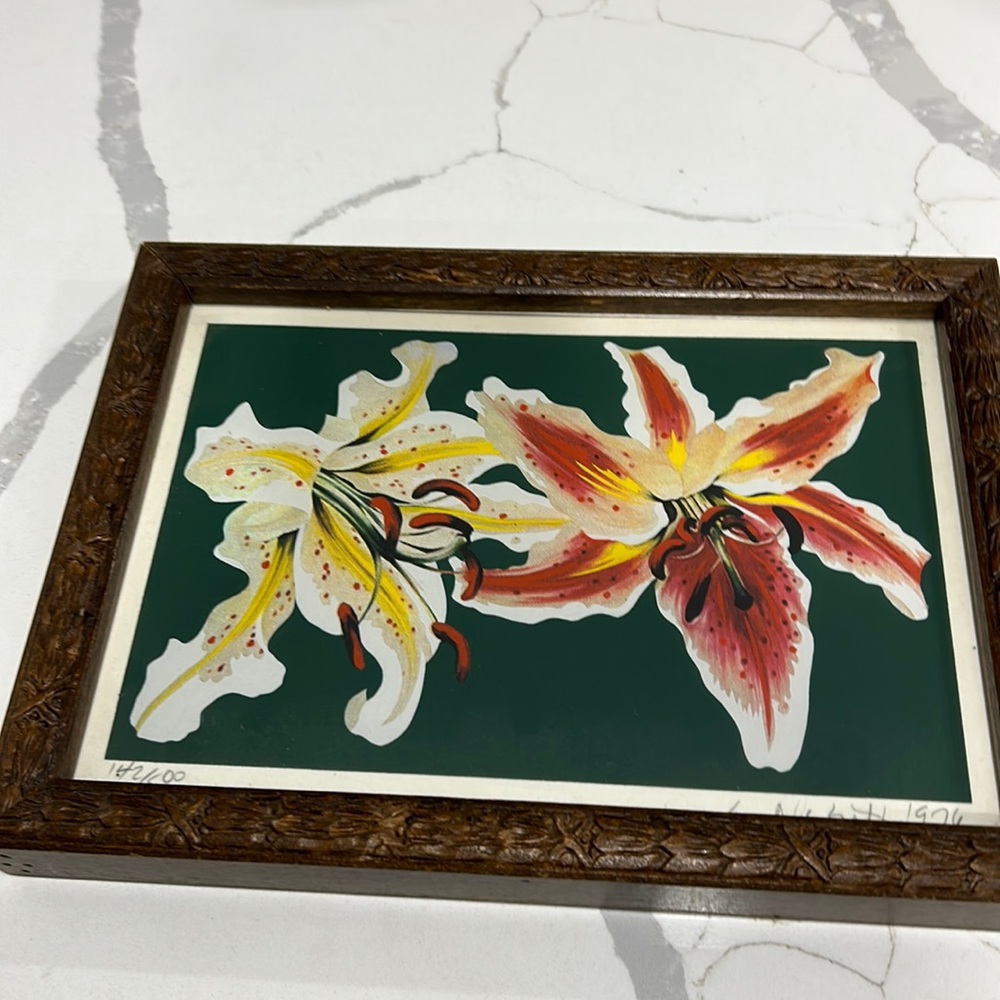 Lowell Nesbitt flowers 1979 pencil signed 142/500